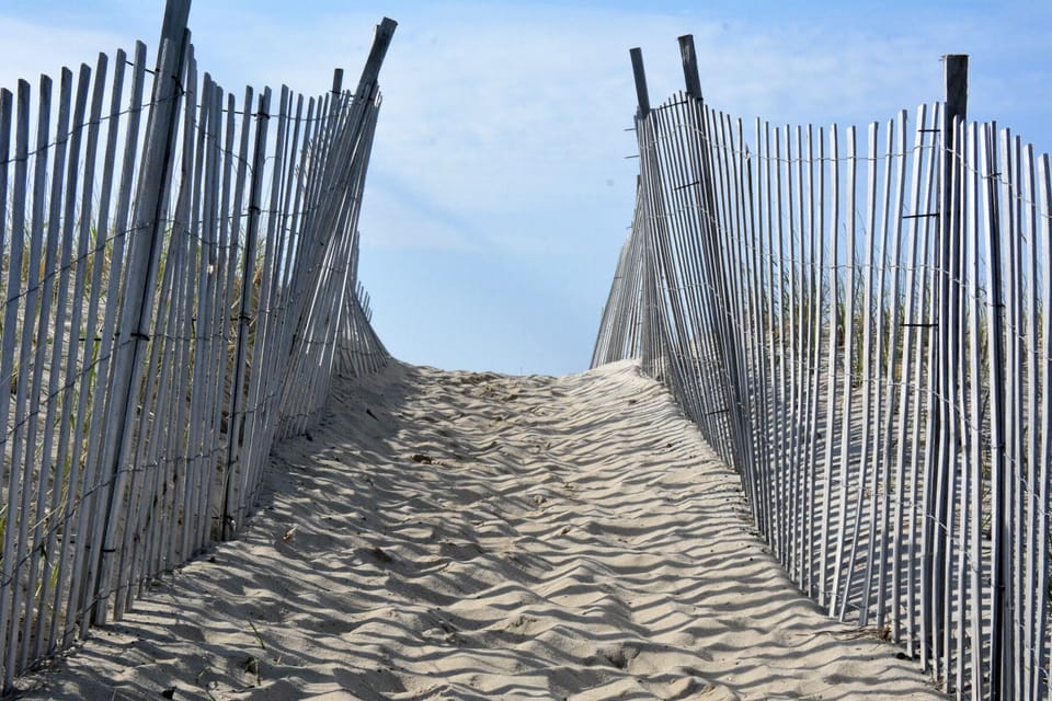 The path to Mecox Beach. 
