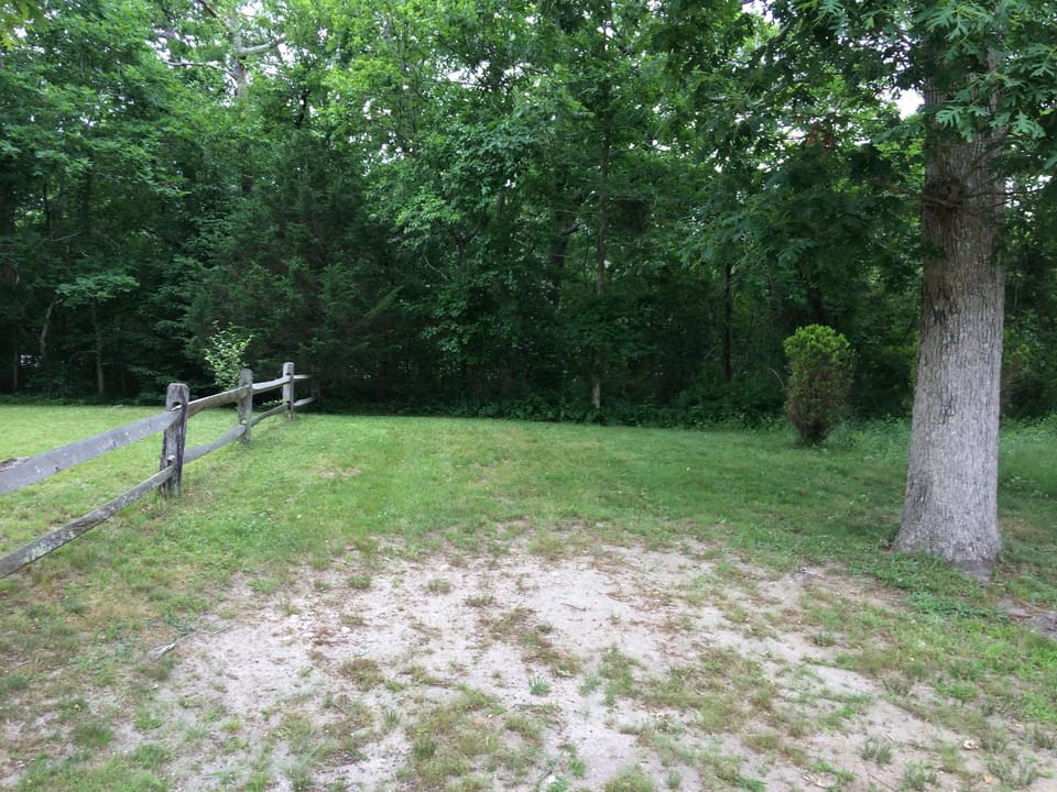 Parking area directly behind house fits two cars.