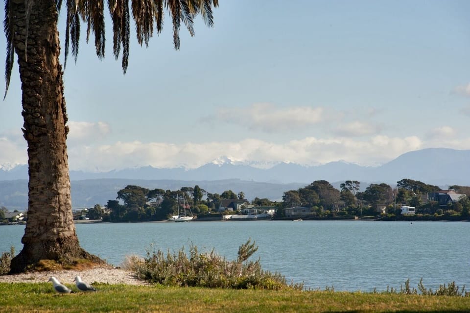 Local surrounds
