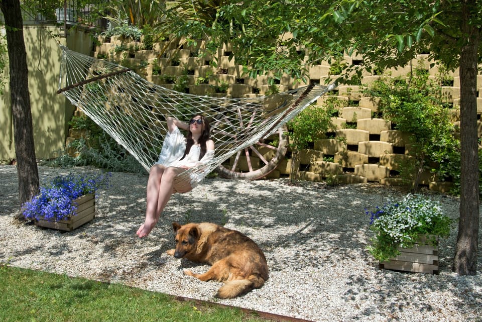 Everyone enjoys a quiet spot in the shade.
