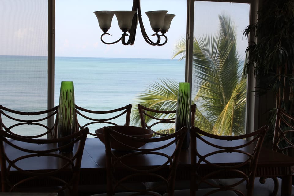 Part of the magnificent view from the dining area and kitchen.