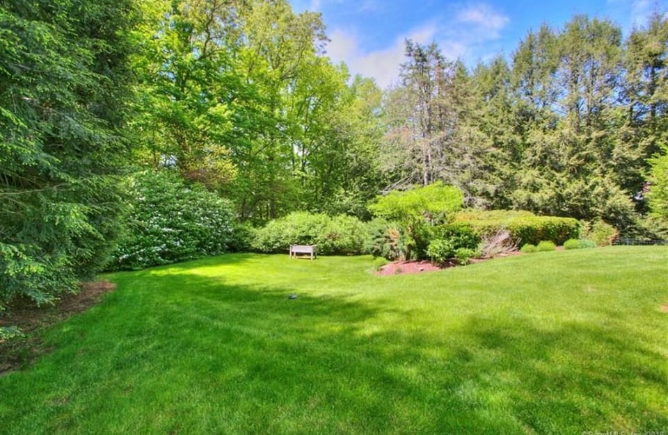 Back lawn within pool area 