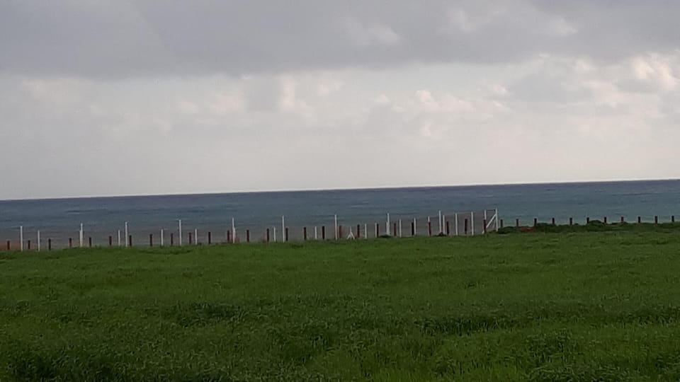 House sea view