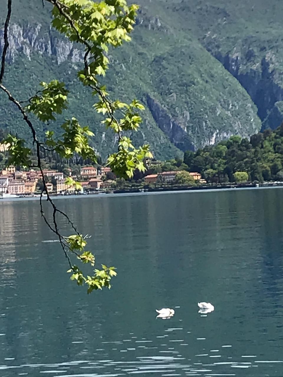 Lake