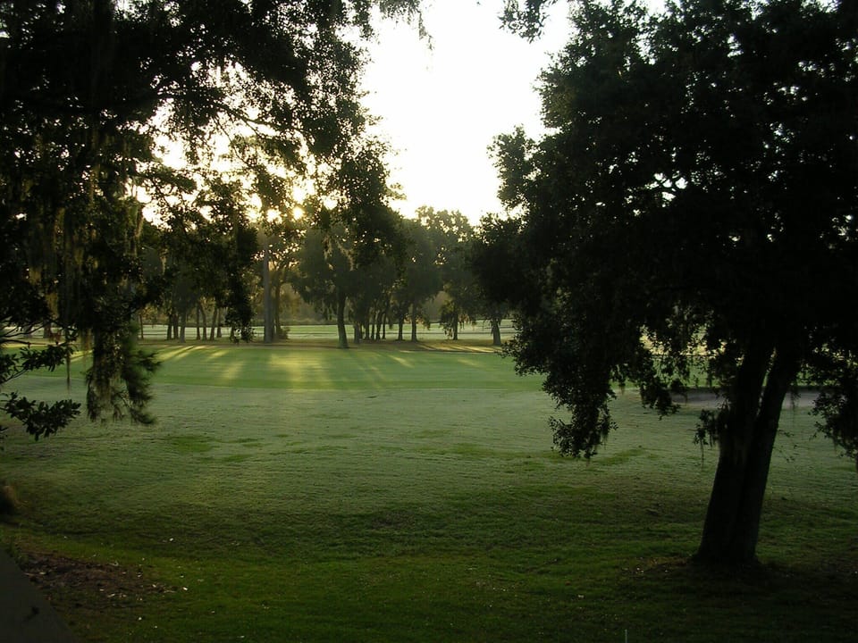 Looking over the George Fazio 15th hole