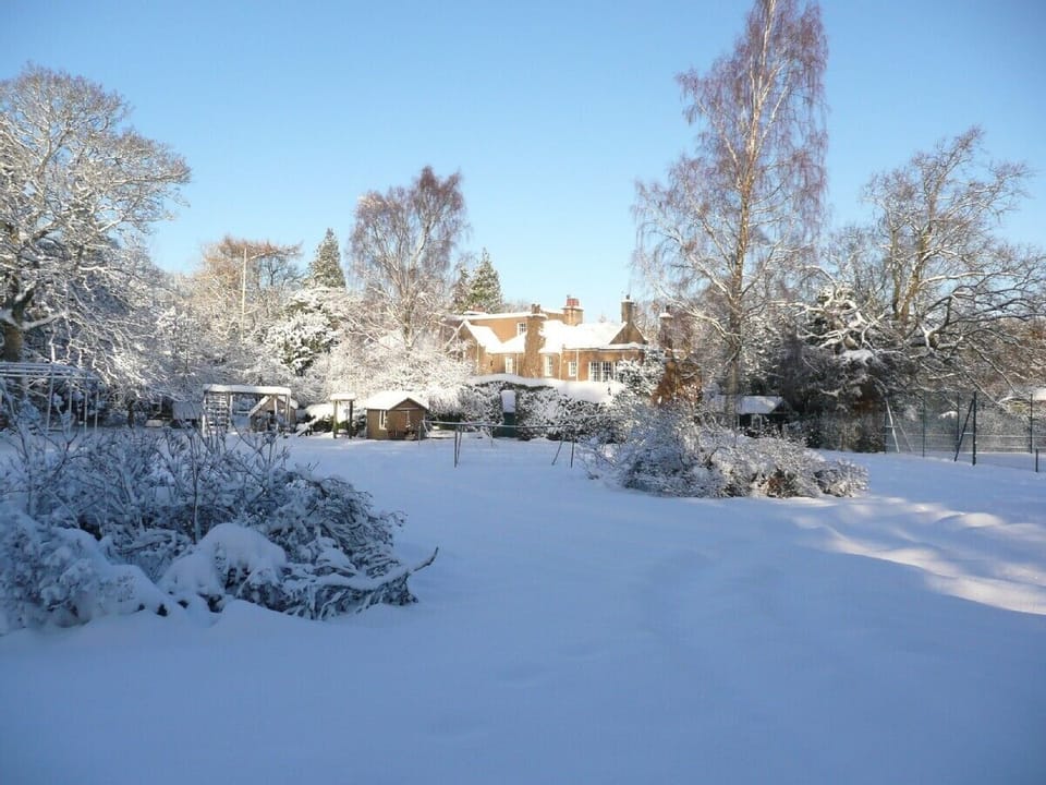 A Cold Day!