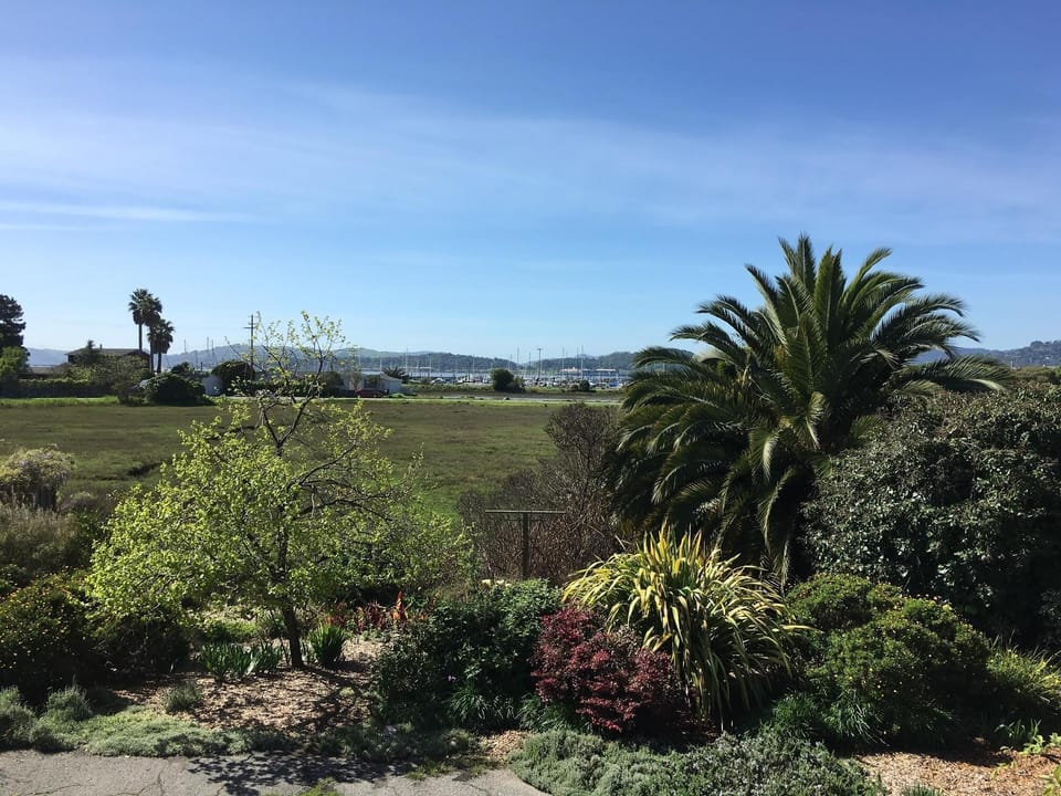 Marsh and boat harbor from deck
