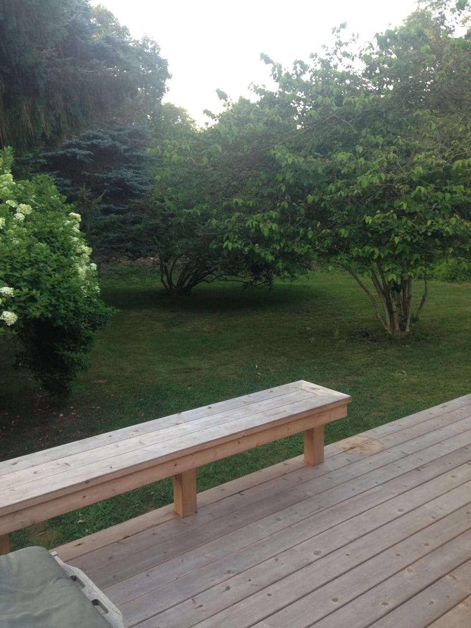 Deck Bench