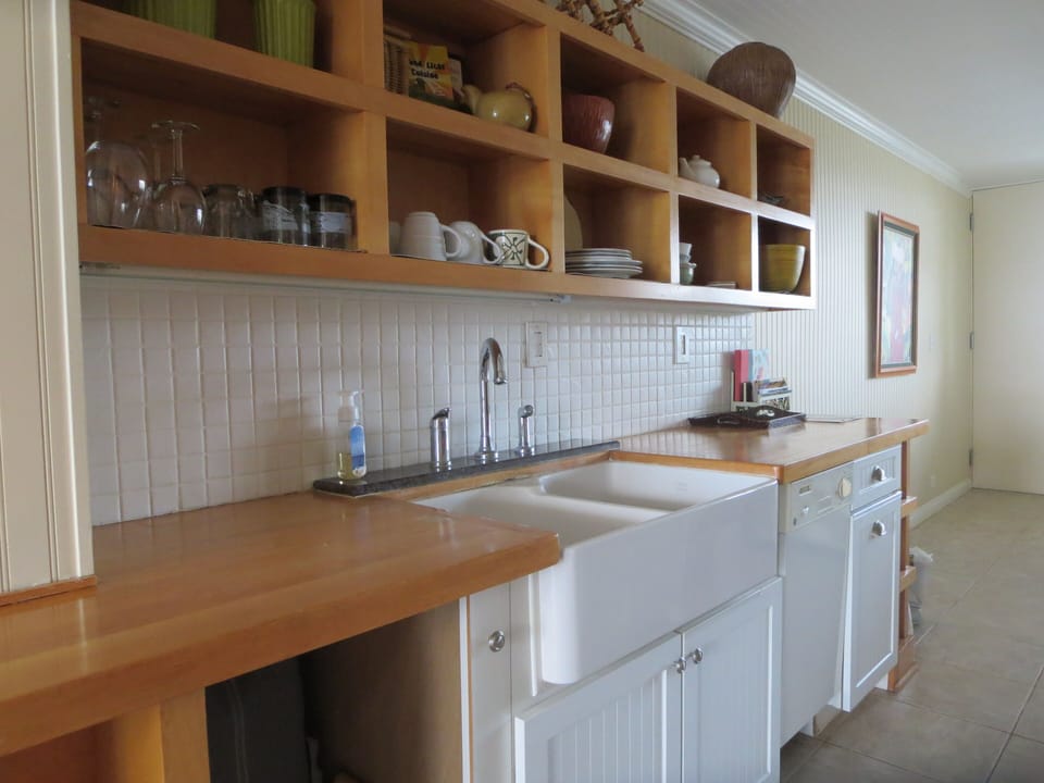 Modern farmhouse sink and dishwasher