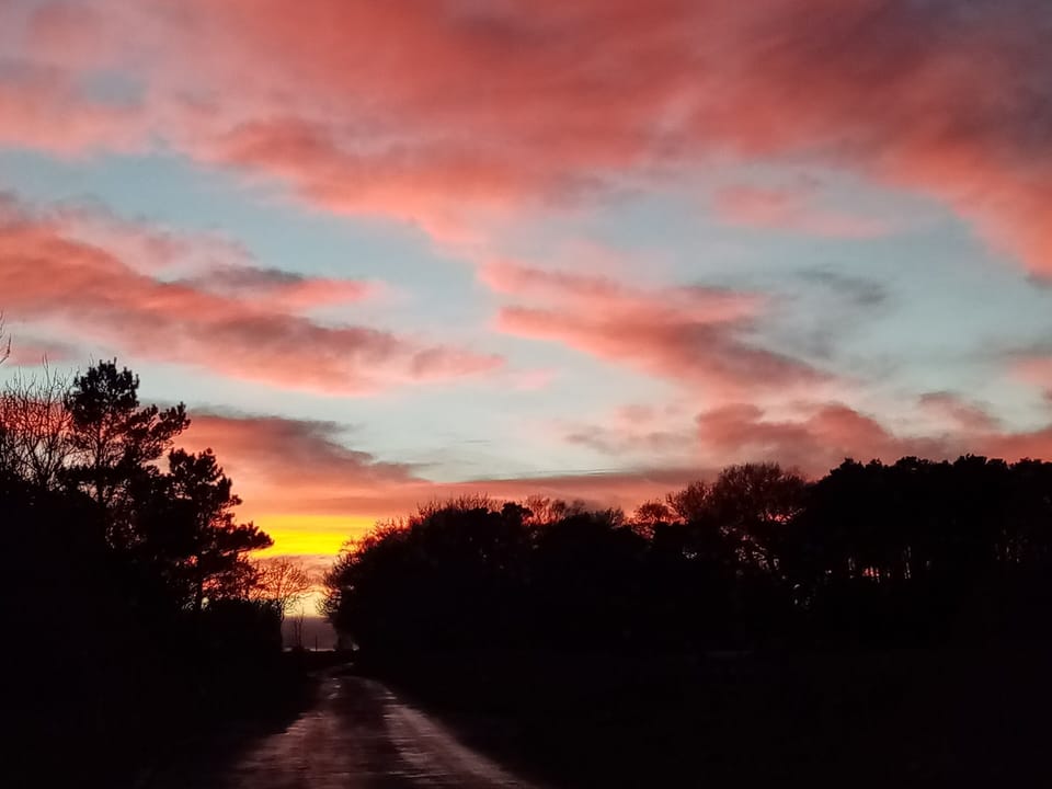 Early morning walk