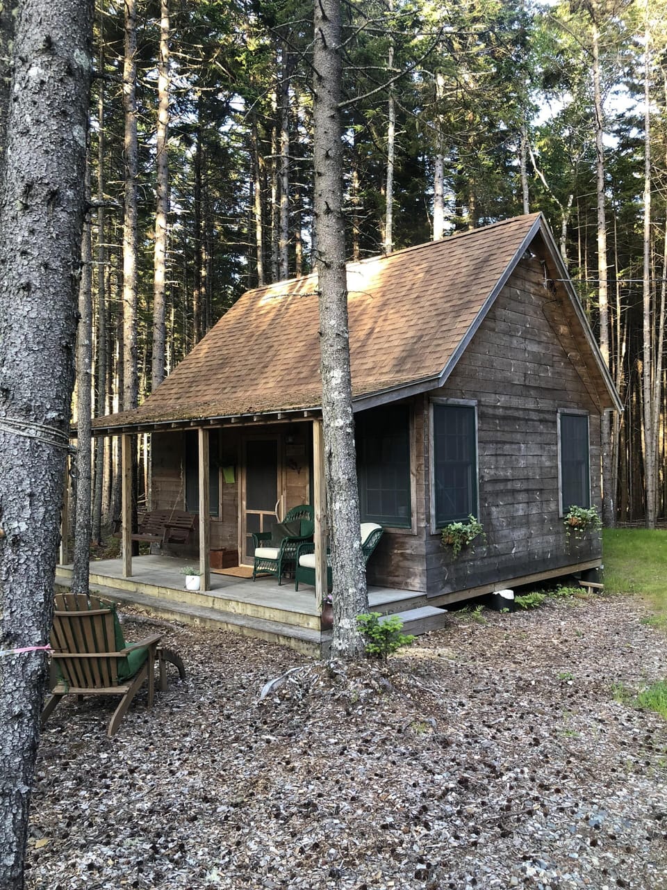 Cabin 2