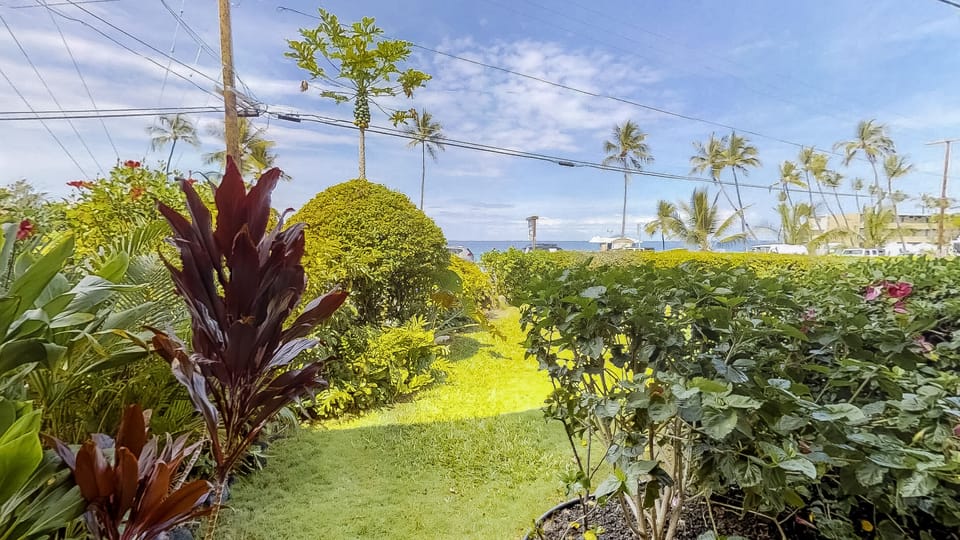 View from the Lanai
