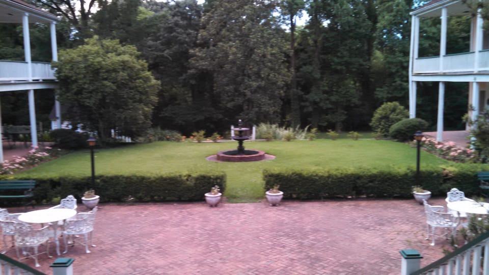 Shared Patio and back yard