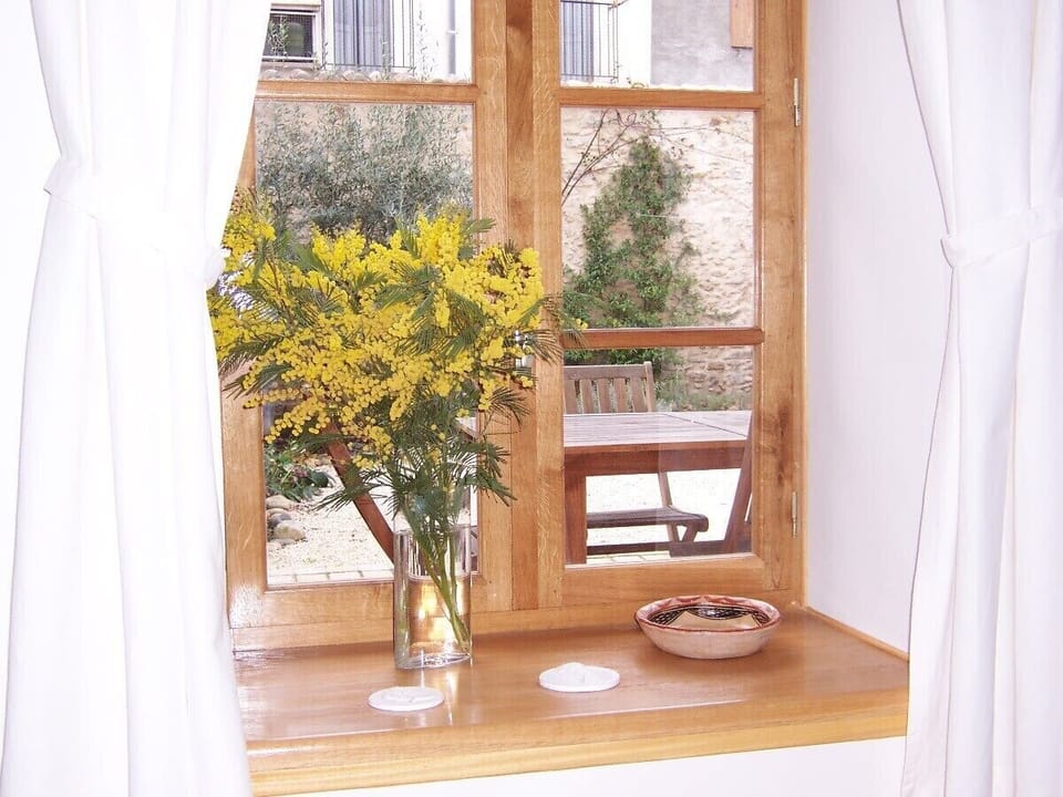 View onto garden from living room.
