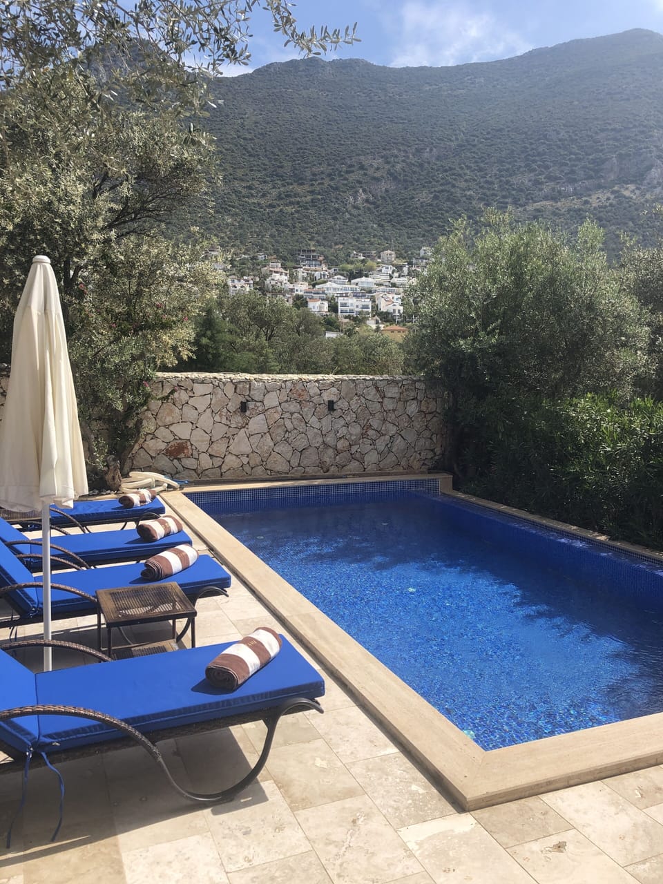 Relaxing Pool