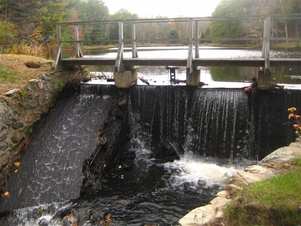 Pond and Waterfall across from home that feeds the stream through the property.