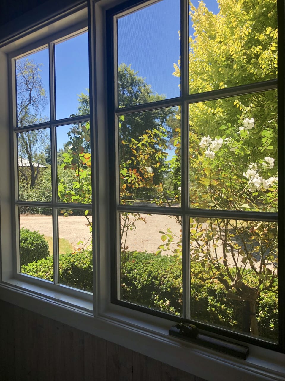 View from bedroom window