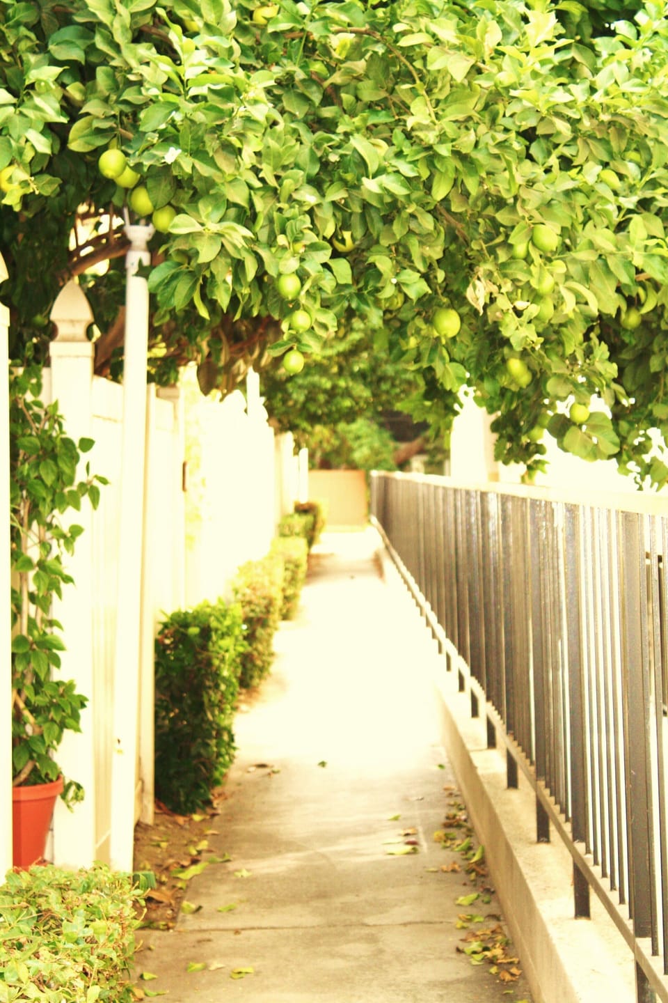 Property grounds