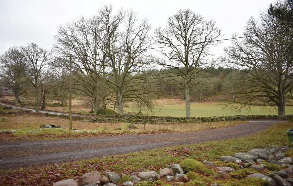 area