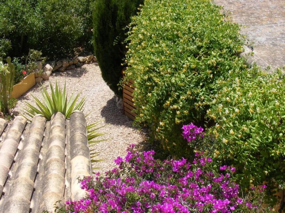 Garden, Park