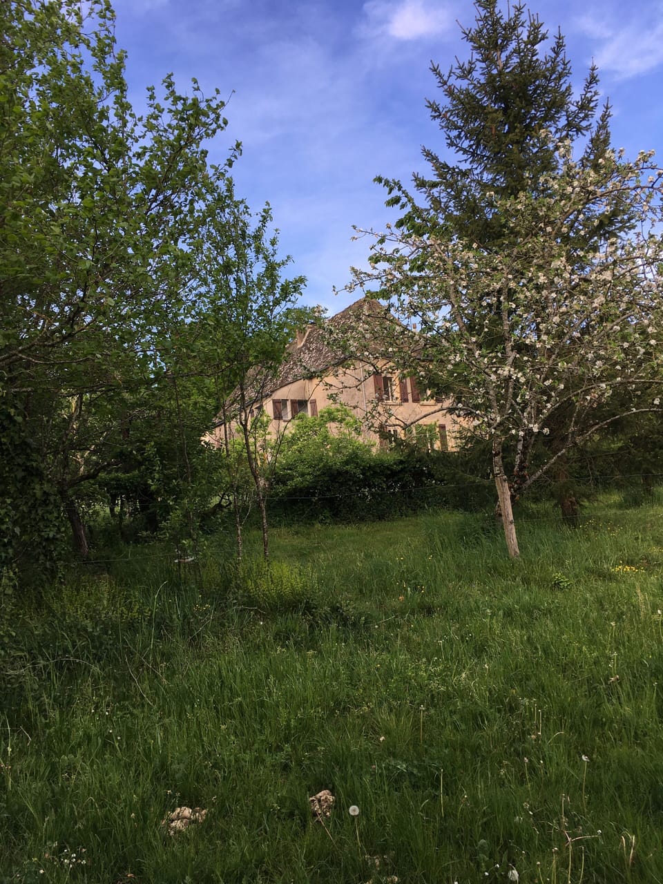Property grounds