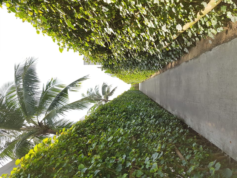 The Naman Retreat,1Bedrooms Garden View