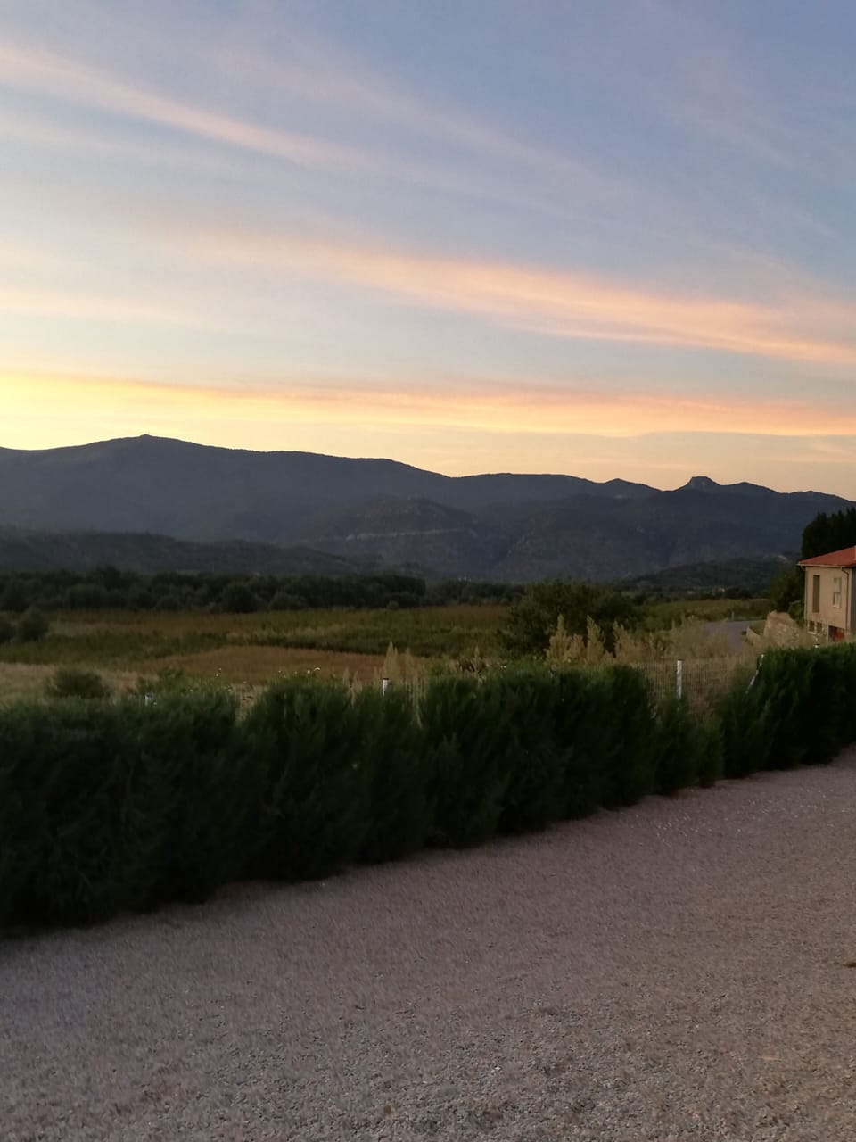 View from back of house