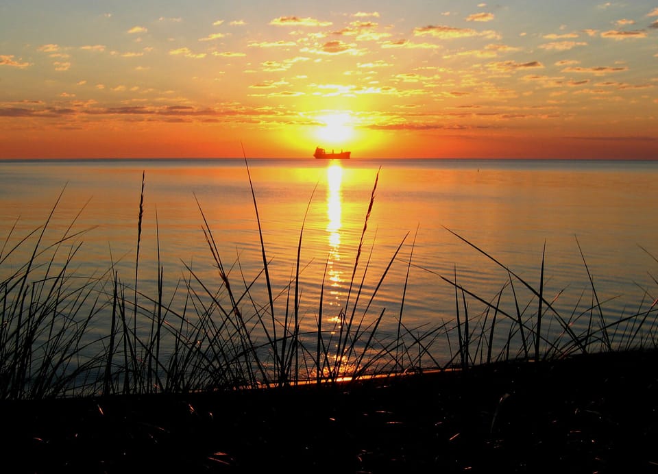 Summer sunrise from the back yard