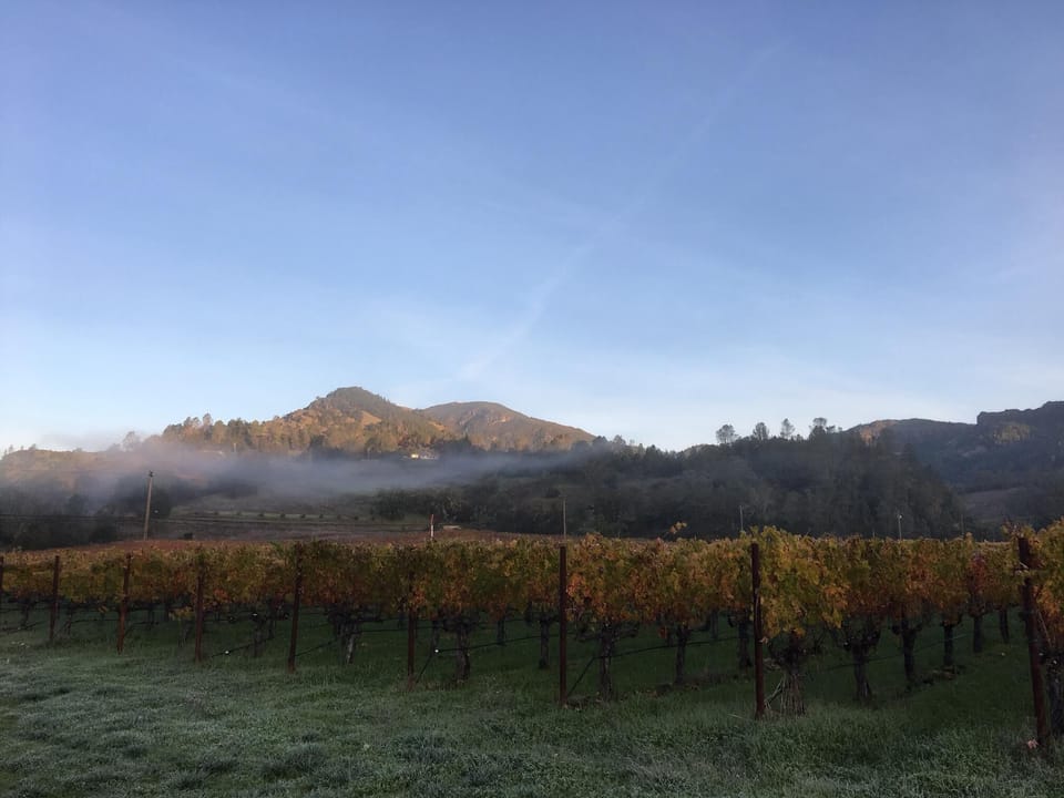 Endless views of the Vineyards 