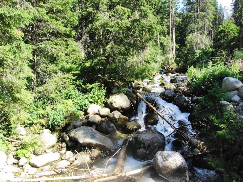 Walking the Mussala pathway in the Summertime