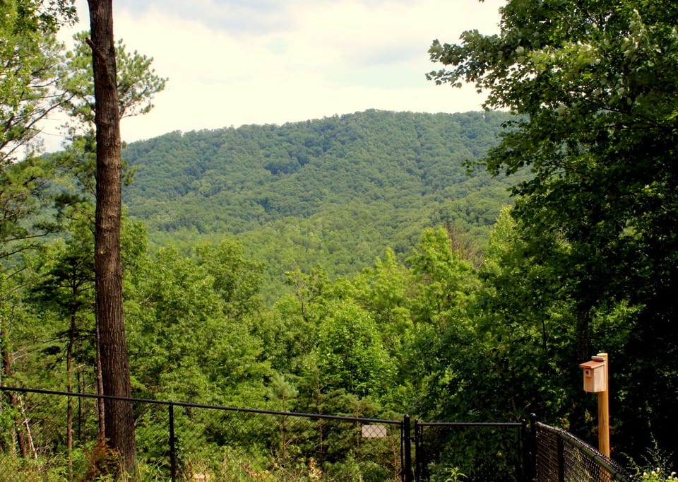 Foothills View left hand side of Porch