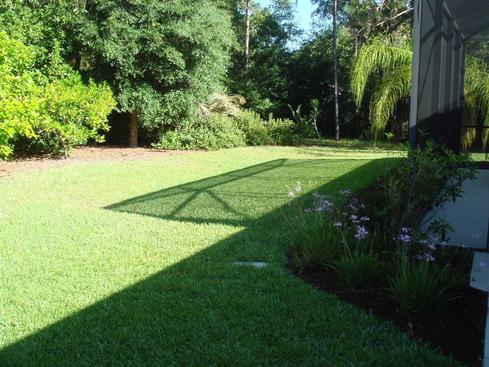 back yard
