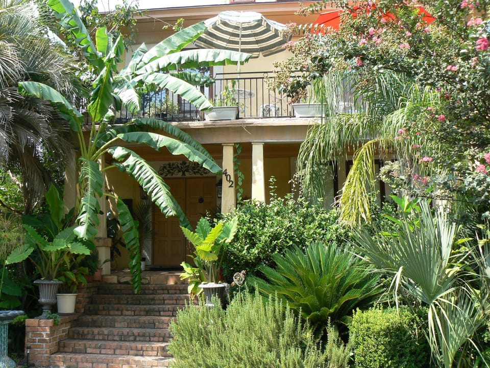 Front of the house