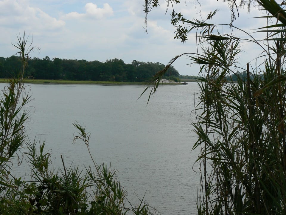Savannah River...opening shot of Midnight in the Garden of Good and Evil