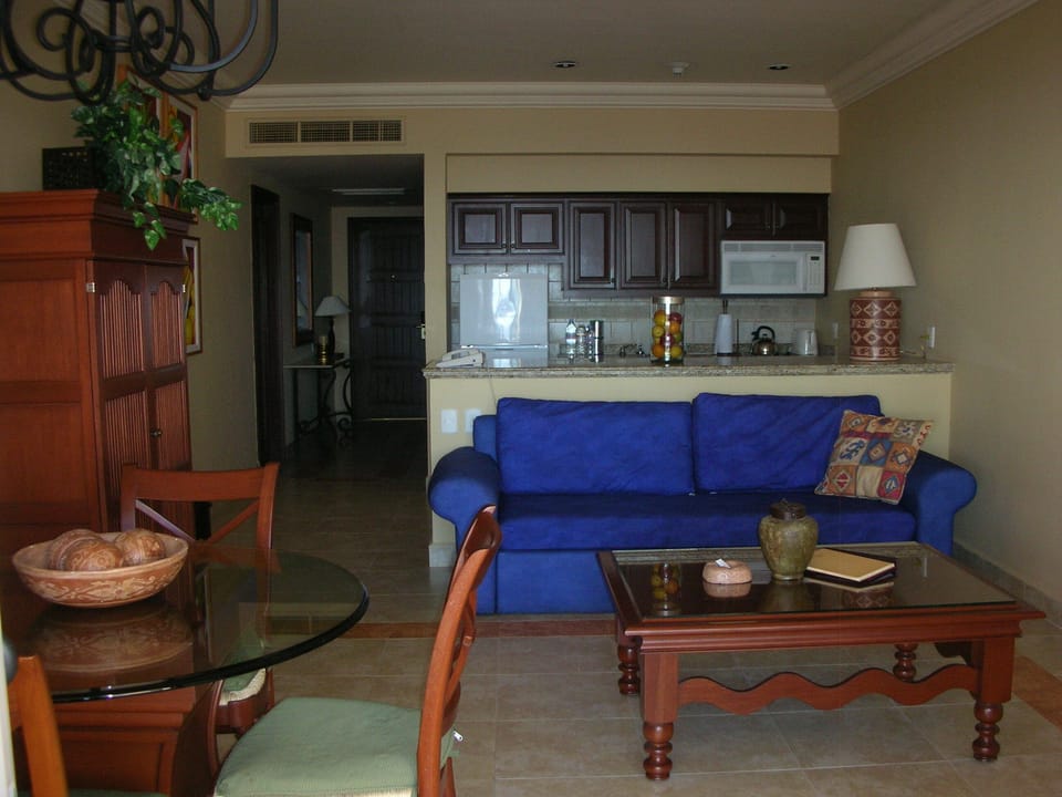 Main living area with pull-out sofa