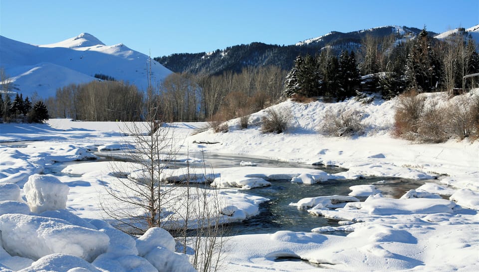 A nearby Winter Scene