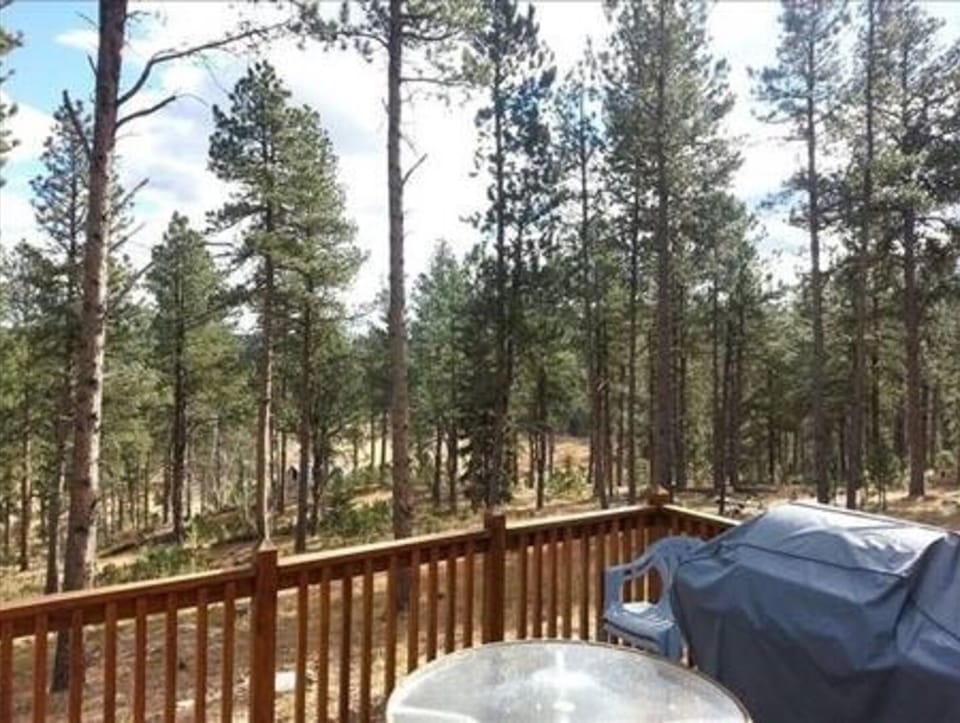 East deck with grill, table and chairs