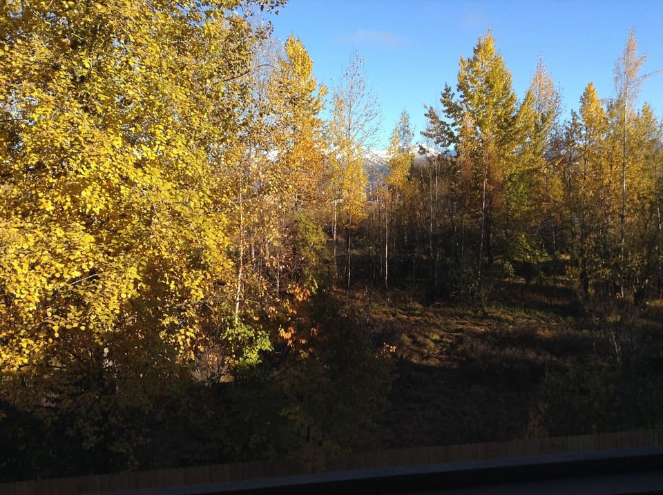 View from property