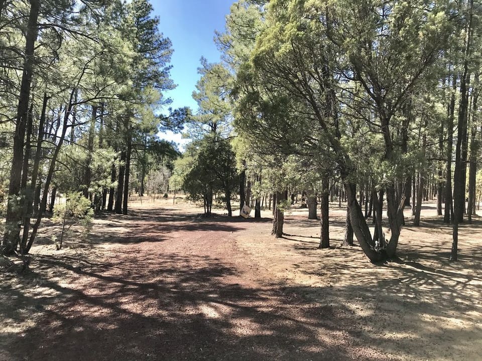 Bring family or friends.  Tents $25 RV's $50 per night