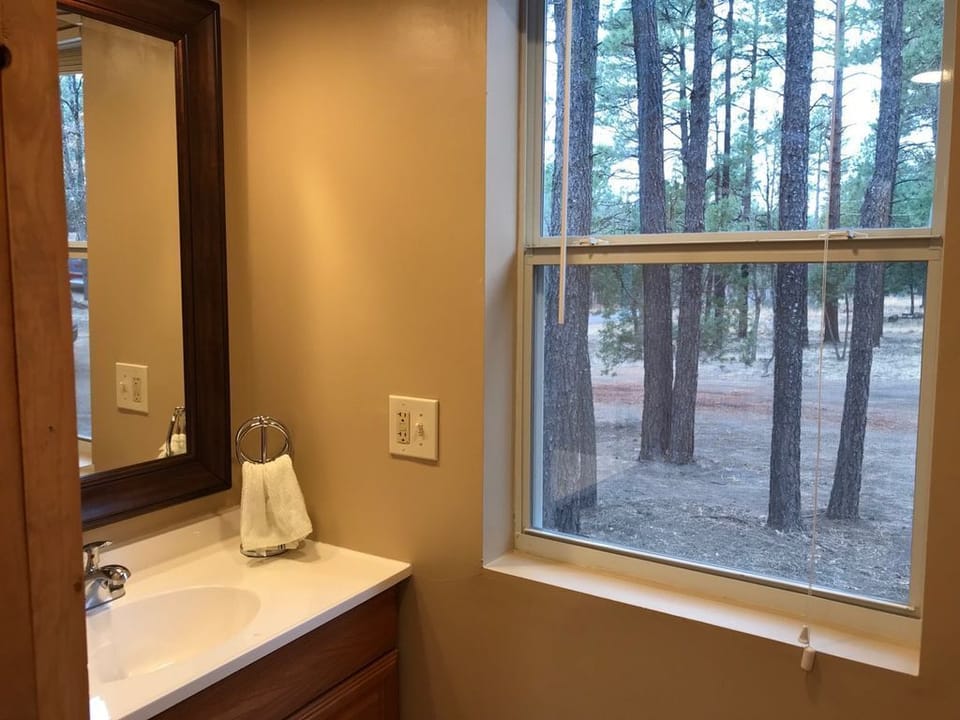 Second bath and shower for guests.