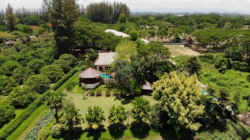 Birds Eye View of the Villa