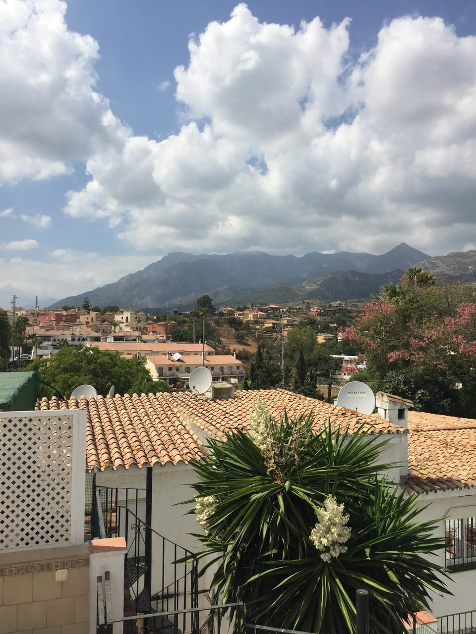 More from Roof Terrace