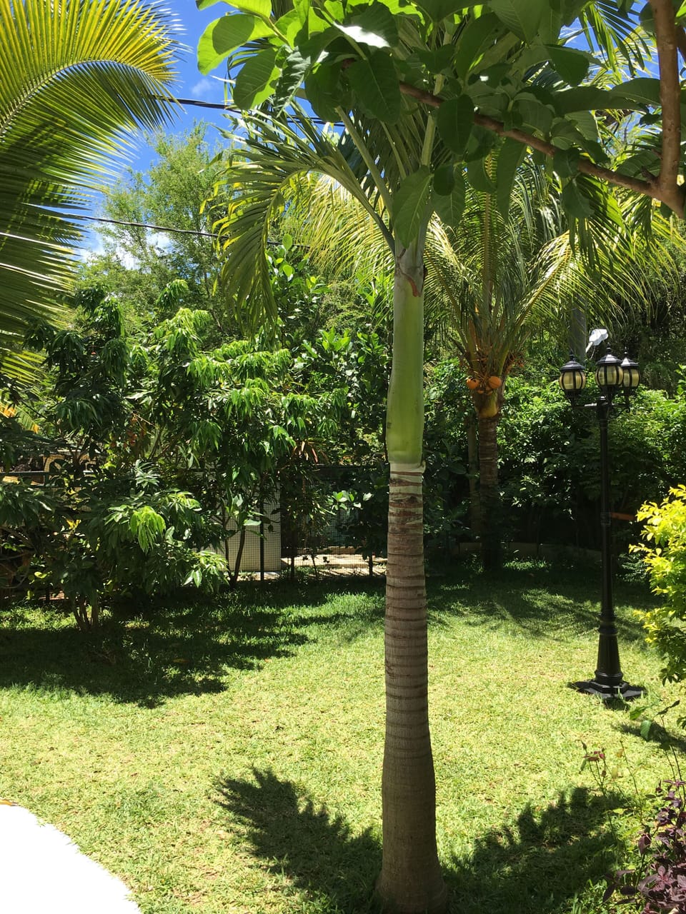 Property grounds