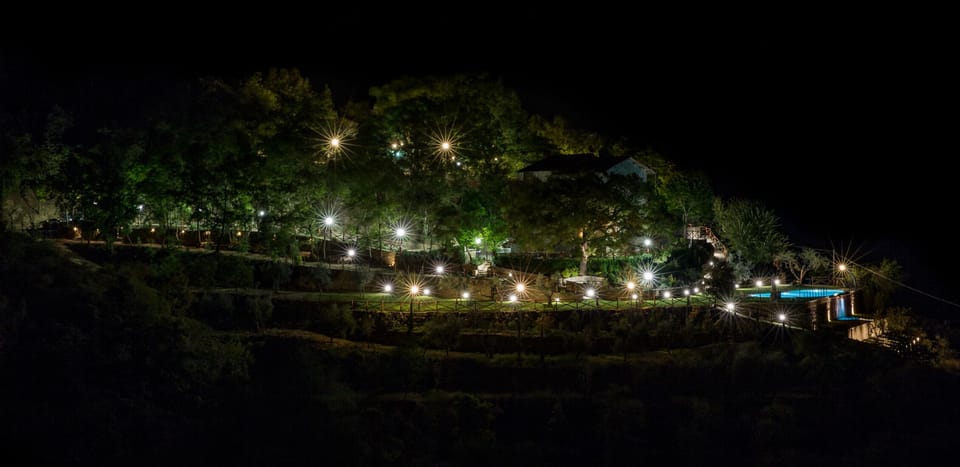 night view