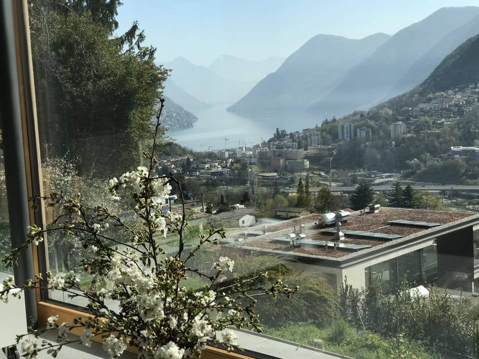 view