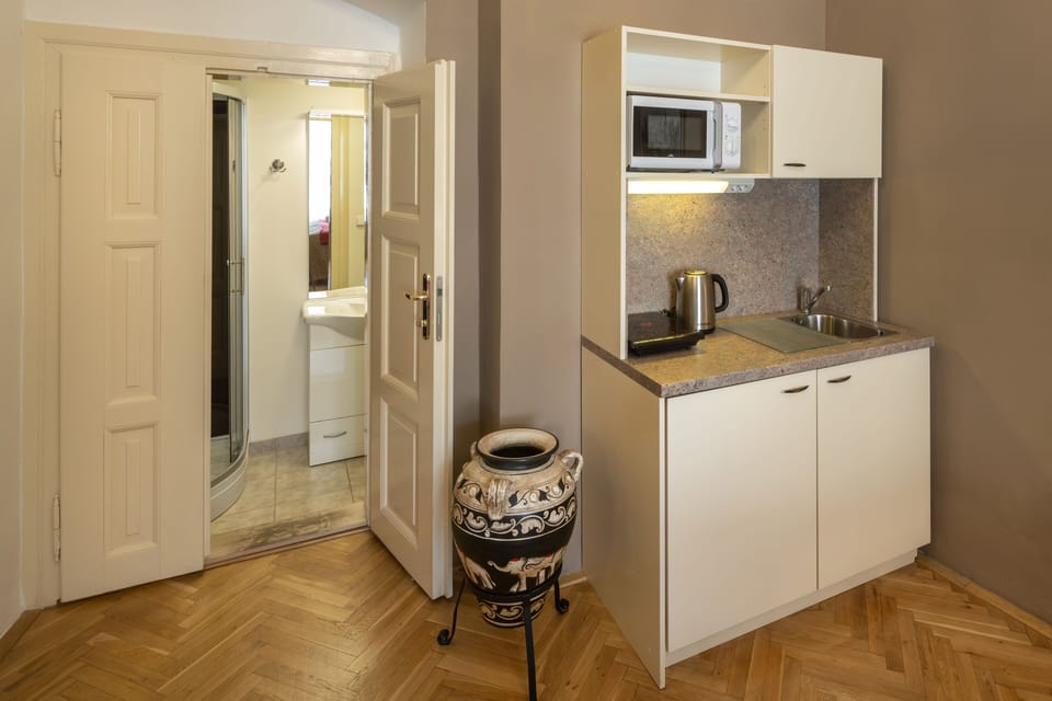 Kitchenette with fridge and basic kitchen utensils and fridge with freezer