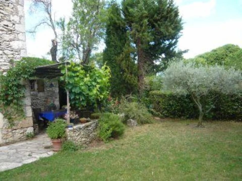 Garden, Park