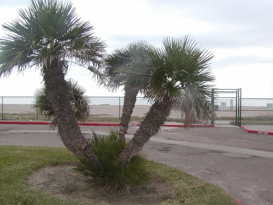 View of beach and water from Villa parking area
