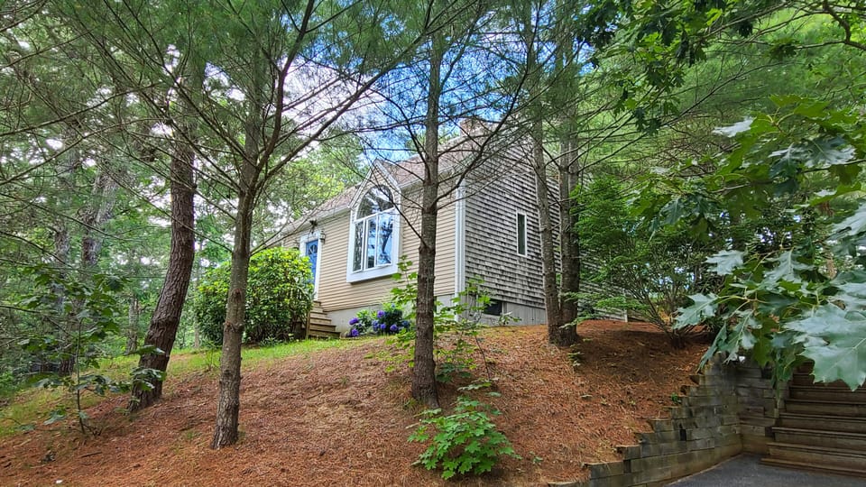 House is set on a wooded lot