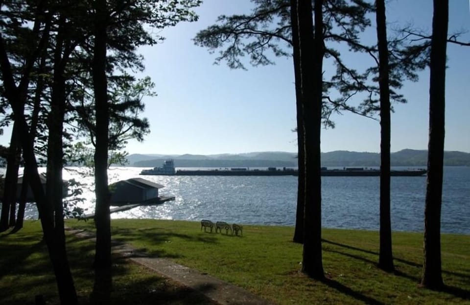 Sunrise with a barge moving along the main channel